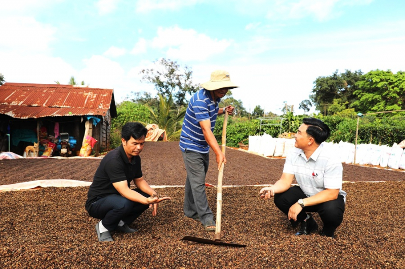 “Thay da, đổi thịt” trên quê hương cách mạng Sơn Điền -0