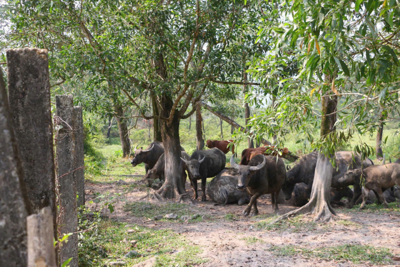 Khu xử lý rác triệu đô “đắp chiếu” gần 1 thập kỷ -0