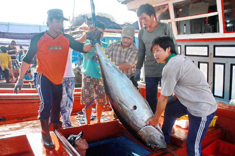 Sôi động chương trình kích cầu du lịch với chủ đề “Cá ngừ Đắk Lắk - Tinh hoa câu vàng” -0
