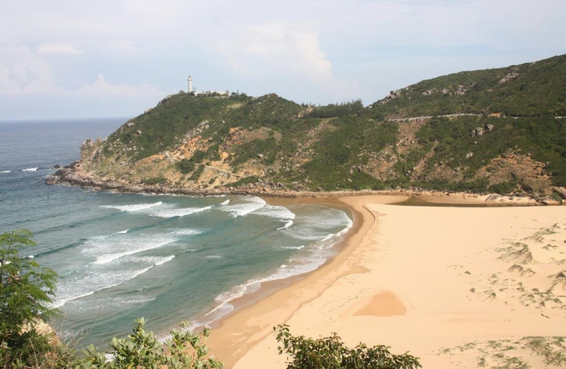  5 du khách bị khỉ hoang tấn công khi đang trên đường đi đến danh thắng quốc gia Bãi Môn – Mũi Điện -0