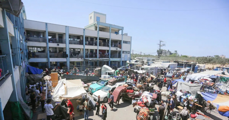 bau cu tai gaza - anh 3.jpg -2