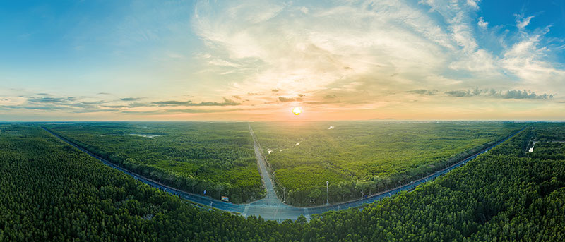 Cần Giờ đẹp mê hoặc trong ngày tranh tài VnExpress Marathon Green Paradise 2026 -0