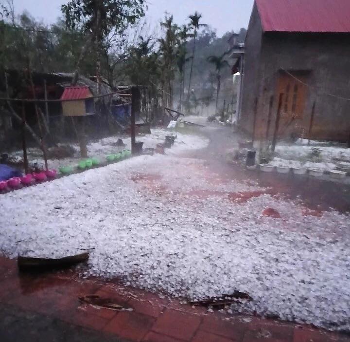 Dông lốc, mưa đá ở miền Bắc làm 5 người bị thương, 350 nhà tốc mái -0