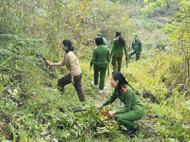 Đẩy mạnh tuyên truyền pháp luật ở vùng cao, biên giới Cao Bằng  -2