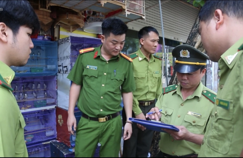 Tăng cường kiểm tra liên ngành trong xử lý vi phạm về bảo vệ động vật hoang dã, chim di cư -0