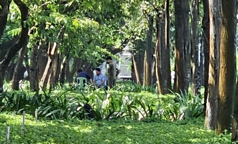 Tìm kiếm người thân cho nạn nhân tử vong bất thường trong công viên  -0