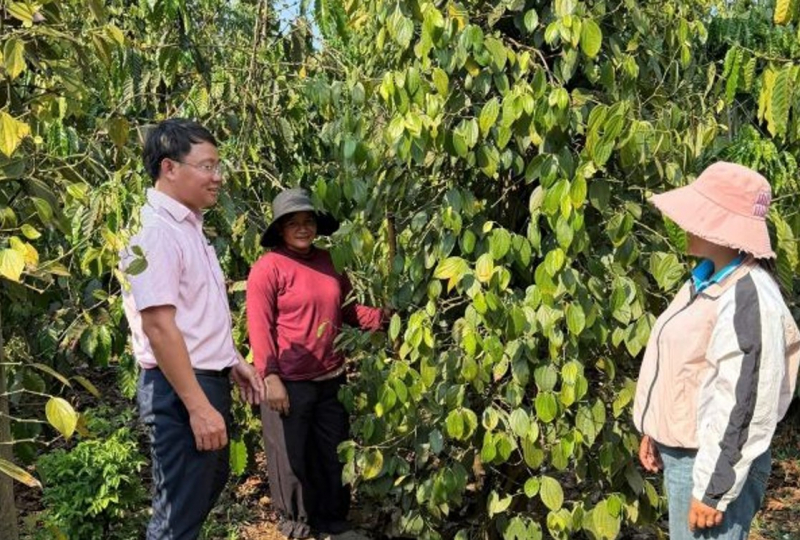 Ngân sách địa phương tiếp thêm nguồn lực cho tín dụng chính sách -0