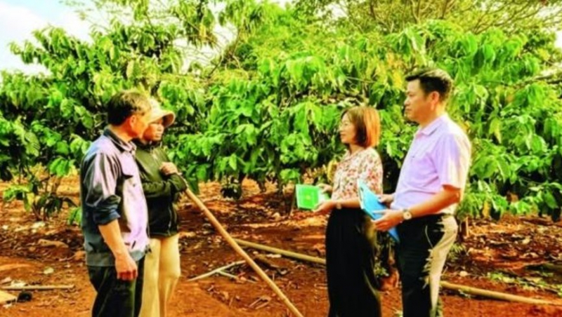Tăng cường giám sát hoạt động tín dụng chính sách -0