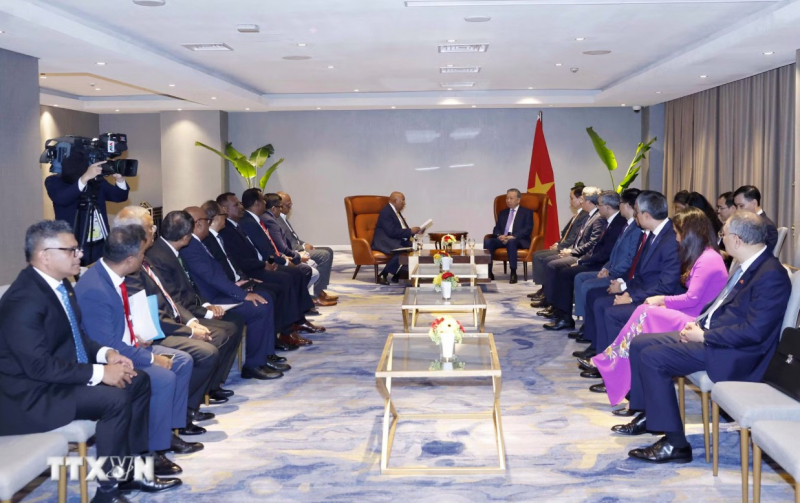 Tổng Bí thư, Chủ tịch nước Tô Lâm tiếp lãnh đạo Tập đoàn Hayleys của Sri Lanka -0