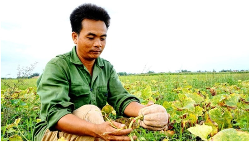Vốn ngân hàng “thay áo” những vùng quê -0