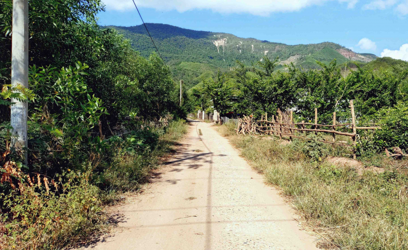 Lan tỏa mạnh mẽ phong trào hiến đất làm đường ở phía Tây Đà Nẵng -0