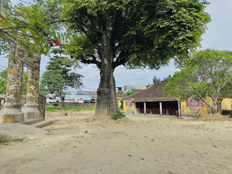 “Dương Nỗ - Hành trình tháng Năm” -0